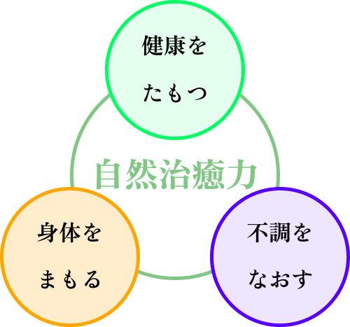 高崎 骨盤矯正 カイロプラクティック イメージ図